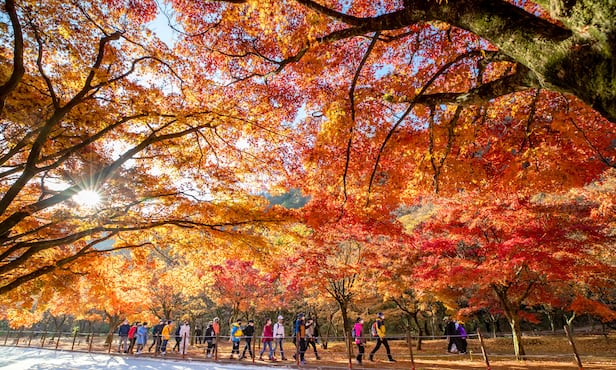   ¥⿡ ִ  ϴ ǳ . ٸ 麸 ǳ       ǳ Դϴ. /迵 