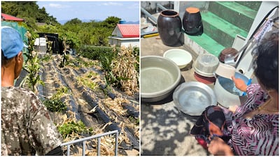 Drought Dries Island Water Tanks, Crops Perish