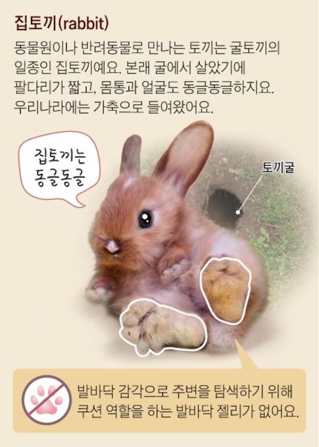 EUKH7J47LFBYRFNKCN5I33E3EQ.png