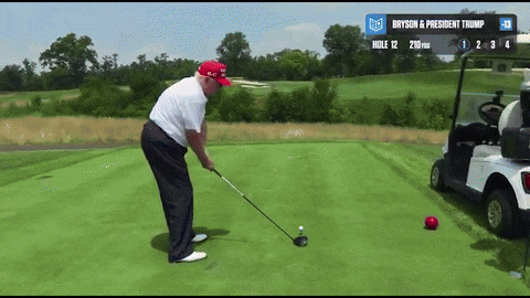 President Donald Trump Visits Golf Clubs 88 Times in Second-Term First Year