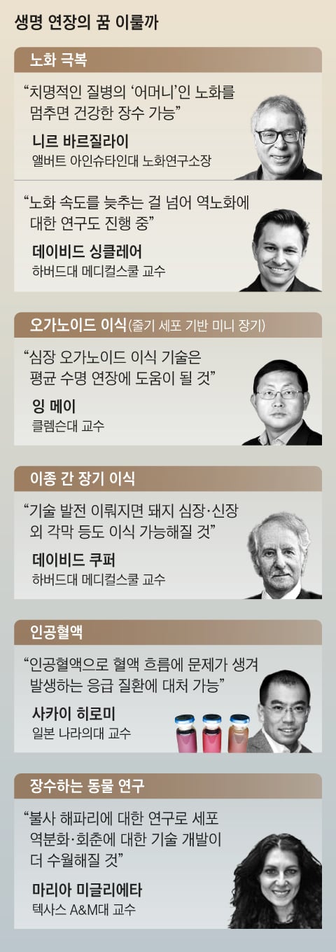 그래픽=김성규