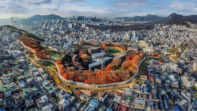 “500년 조선의 수도 지킨 이 성곽... ‘1초의 예술’로 세계 홀려볼게요”