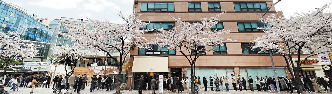22대 국회의원 선거 사전투표 첫날 서울 강남구 역삼1동 주민센터에 마련된 투표소를 찾은 유권자들이 활짝 핀 벚꽃 아래서 투표를 위해 줄을 서 있다. /연합뉴스
