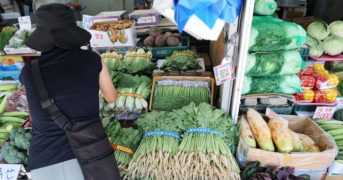 Photograph accompanying Spinach doubled in a month: Korea's heat shock is a price mechanism, not a weather story