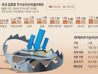 상장사 62곳, 저PBR 명단 공개 앞두고 개선안…평균 PBR 0.3배 수준