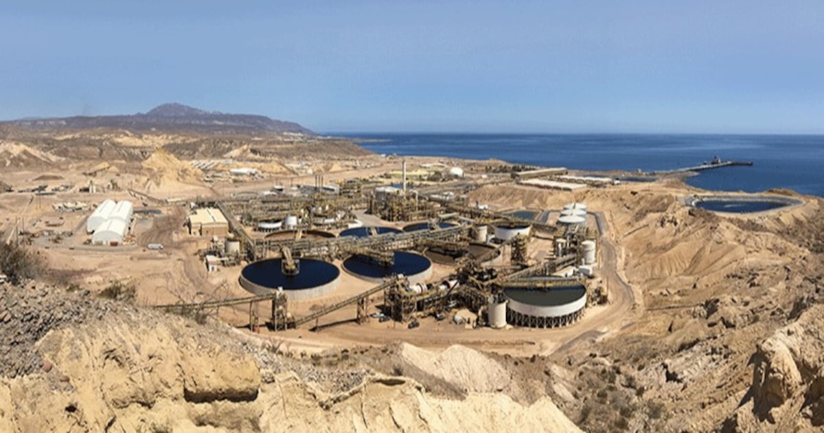 볼레오 광산 매각 관련 보도 이미지