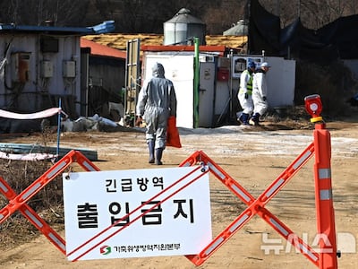 검역본부, 아프리카돼지열병(ASF) 백신 수출 적극 지원 나서기로