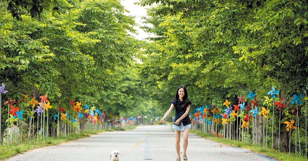 댕댕이·非반려인... 모두가 배려 받는 '안전 여행지' 만든다 - 뉴스 썸네일 이미지