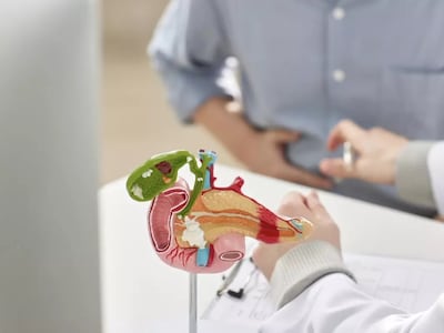 7월 1일부터 췌장장애가 새로운 장애 유형으로 적용된다./사진=클립아트코리아