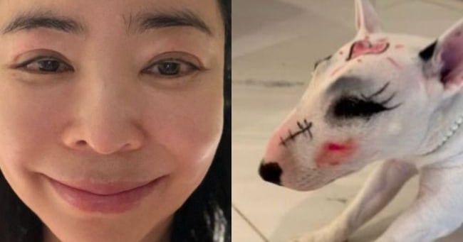 Lee Hye-young Deletes Dog Makeup Post Amid Animal Abuse Accusations