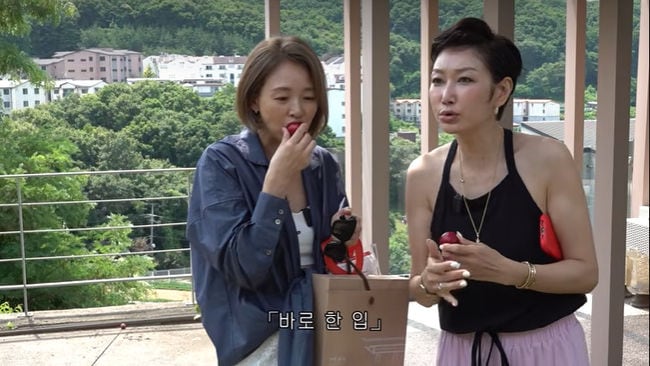 '추성훈♥' 야노 시호도 놀란 대저택…"변정수 집, 10년 만"