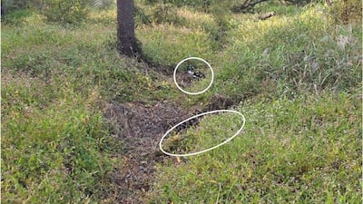합참, DMZ 지뢰 폭발 사고 현장 사진 공개