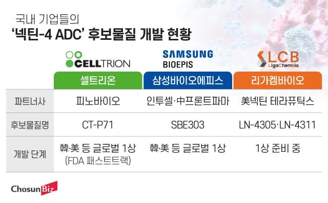 삼성·셀트리온 뛰어든 ‘넥틴-4 ADC’ 경쟁…화이자 ‘파드셉’ 넘어설 차세대 항암제 노린다