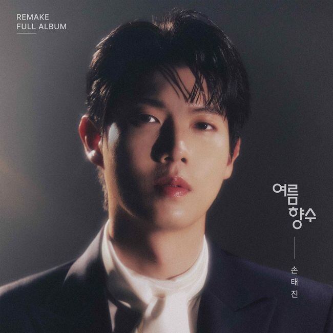 손태진, 웰메이드 리메이크 정석…오늘(10일) '여름 향수' 발매