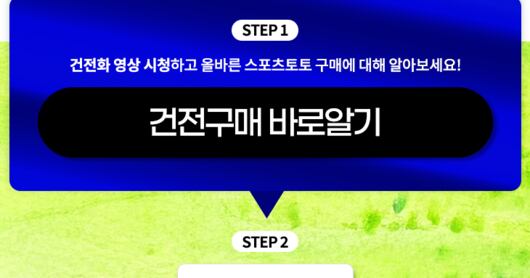 스포츠토토, 6월 건전화 캠페인 실시