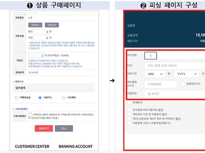 온라인 쇼핑몰 결제 피싱에 카드정보 5700건 유출…금감원 ‘소비자 경보’