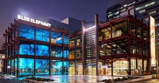 블루엘리펀트 대표 구속기소 관련 보도 이미지