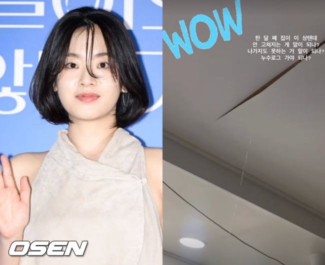 이주영, 한달째 천장서 물이 줄줄..누수 피해 호소 "소송 많관부"