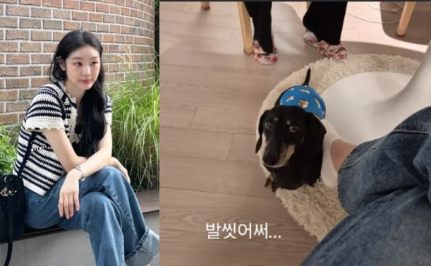 '연느' 김연아도 사람이었다..발로 강아지 쓰담쓰담 “발 씻었어” 해명까지