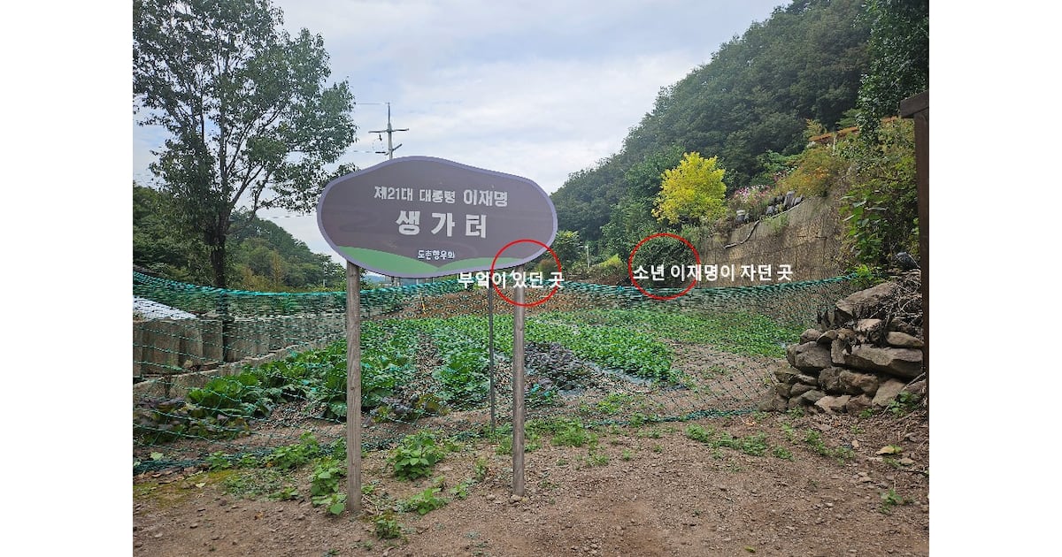 땅은 사람을 어떻게 키우는가 - 뉴스 썸네일 이미지