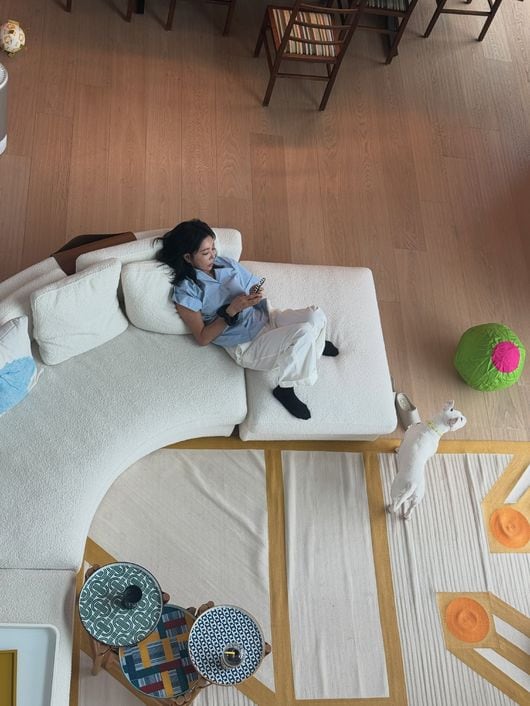"미술관이야 집이야?"...'27조 자산가♥' 이혜영, 입 떡 벌어지는 '대저택'