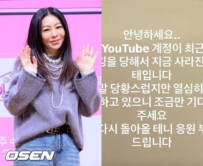 황신혜, 유튜브 채널 해킹 피해.."당황스럽지만 열심히 복구 중"