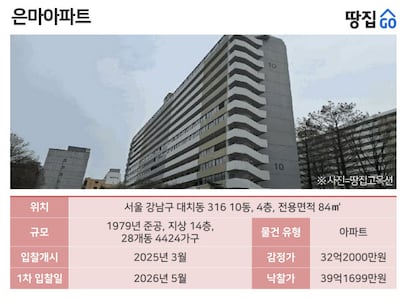 "7억 더 주고 사도 남는장사" 재건축 대장, 47년 된 은마의 위엄