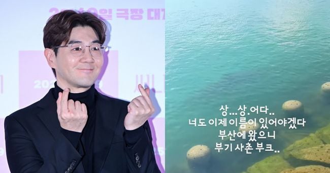 조선일보 기사 이미지