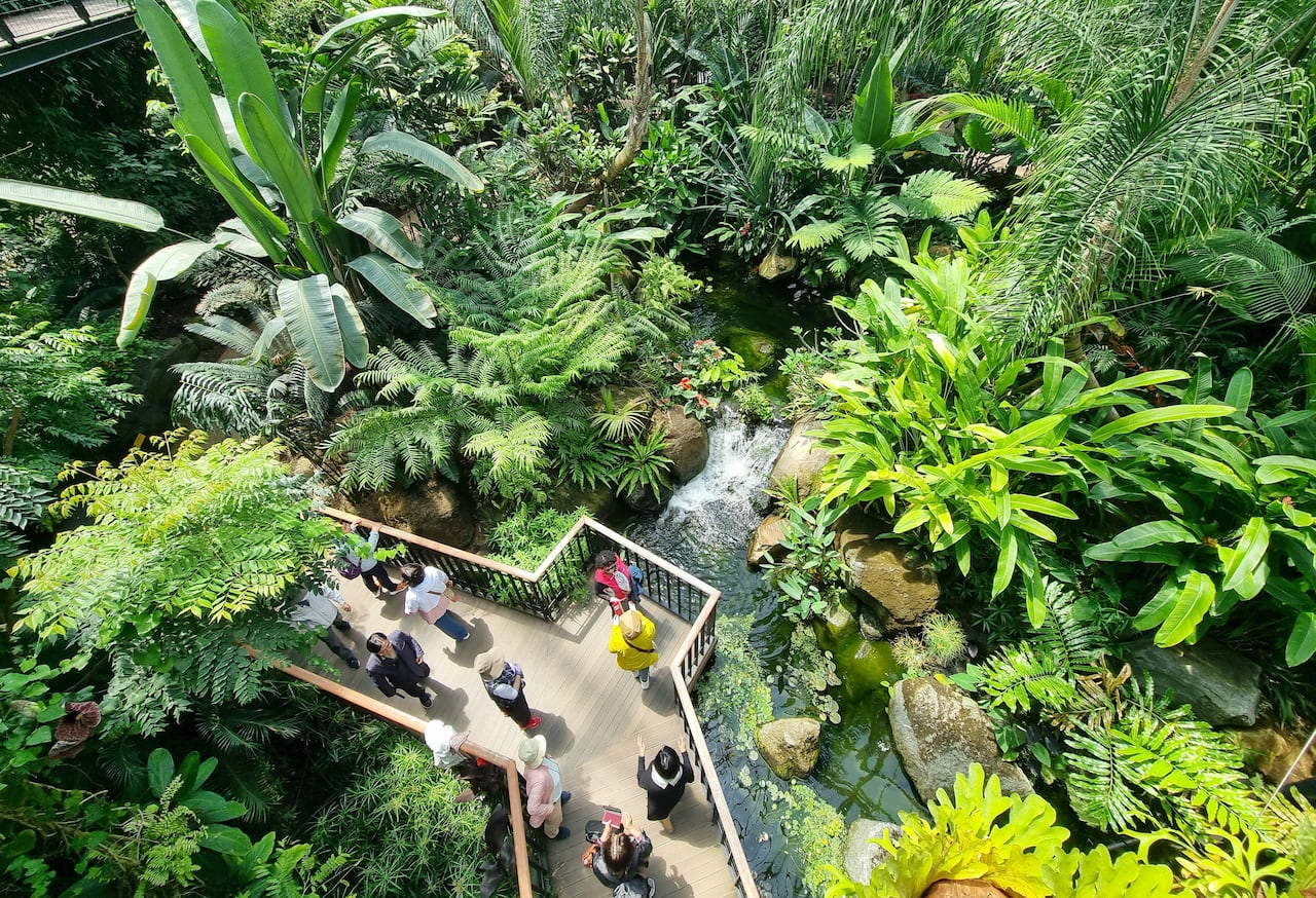 사시사철 푸르른 아열대식물원에는 🌵다양한 선인장과 열대식물이 있는 온실과, 🌴힐링하며 산책할 수 있는 작은 정원들이 조성되어있어요  #제주 #제주가을가볼만한곳 #한림공원 #제주가족여행 #아열대식물원, image size:1280x874