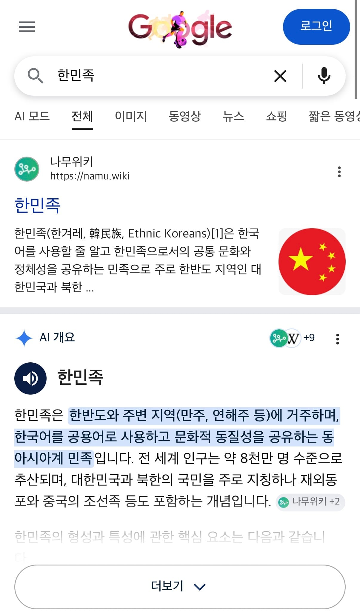 국힘 언론자유특위 “구글에 ‘한민족’ 검색하면 오성홍기 노출…강한 유감”
