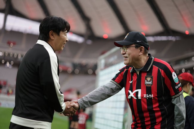 FCソウル、10年ぶり7度目のKリーグ1制覇…許泰秀GS会長も観戦 縮圖