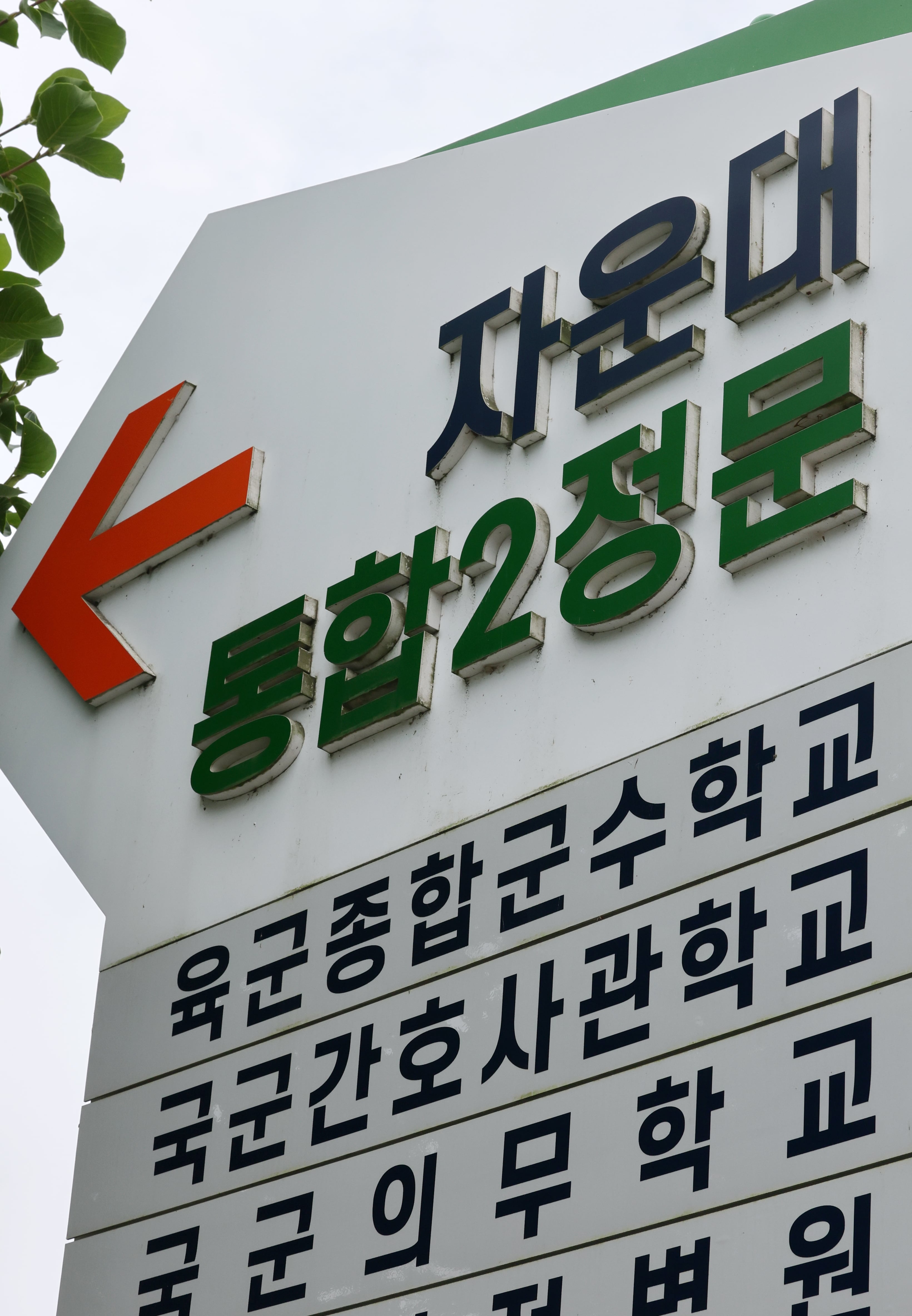 국군사관학교 신속 추진하겠다는 정부… 육해공 반발에 구체안도 없어 ‘첩첩산중’
