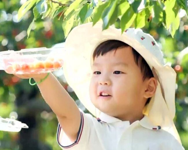 '상위 1% 영재' 정우, 얼마나 똑똑한지 감도 안 와..애교로 체리 수확(슈돌)