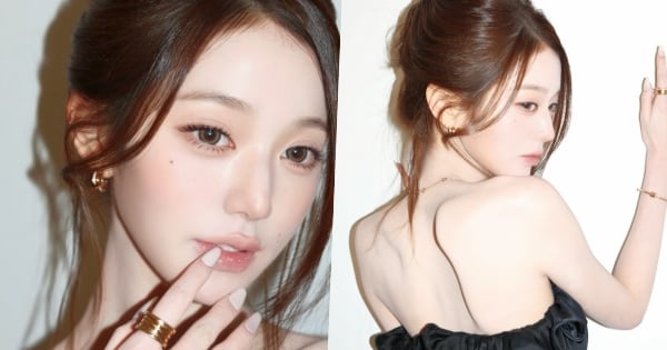 Jang Won-young's Unrealistic Visuals Highlight Delicate Back Silhouette - 조선일보