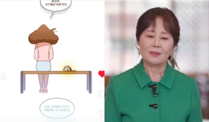 故 강희선 성우 子, 팬들 추모에 눈물의 감사 인사 "동생과 열심히 살아나가겠다"