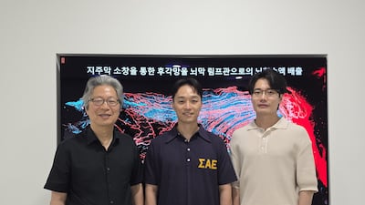 뇌 노폐물 빠져나가는 ‘비밀 구멍’ 국내 연구진이 첫 발견