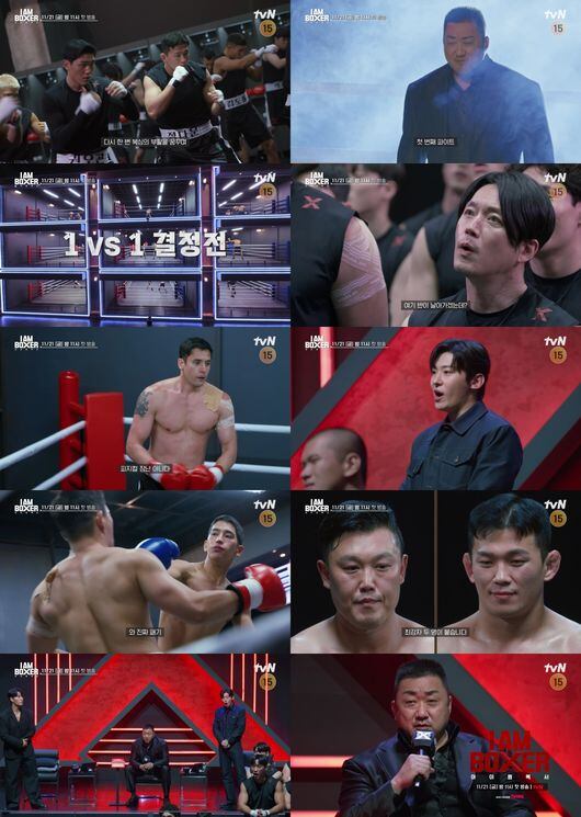 I'm Boxer I Am Boxer: 300M Prize, 90 Boxers Clash