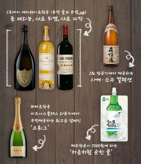금수저 기내 난동범 