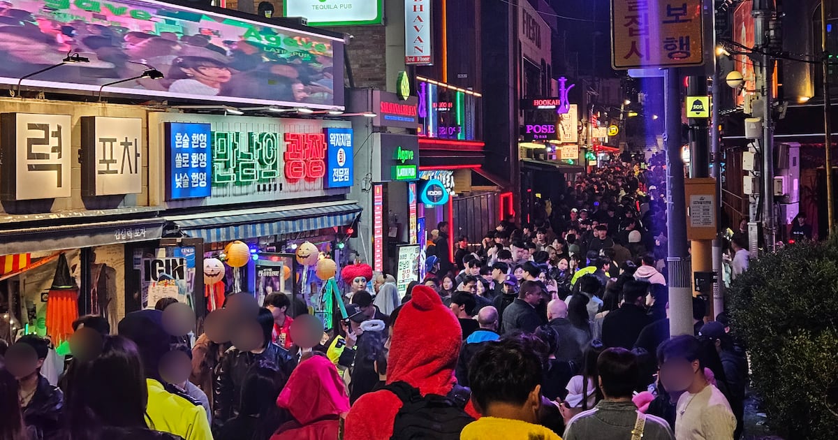 핼러윈 전날 강남·용산 등 서울 주요 유흥가 마약 단속... 적발은 없어