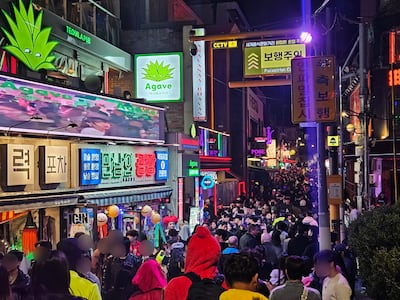 핼러윈 전날 강남·용산 등 서울 주요 유흥가 마약 단속... 적발은 없어