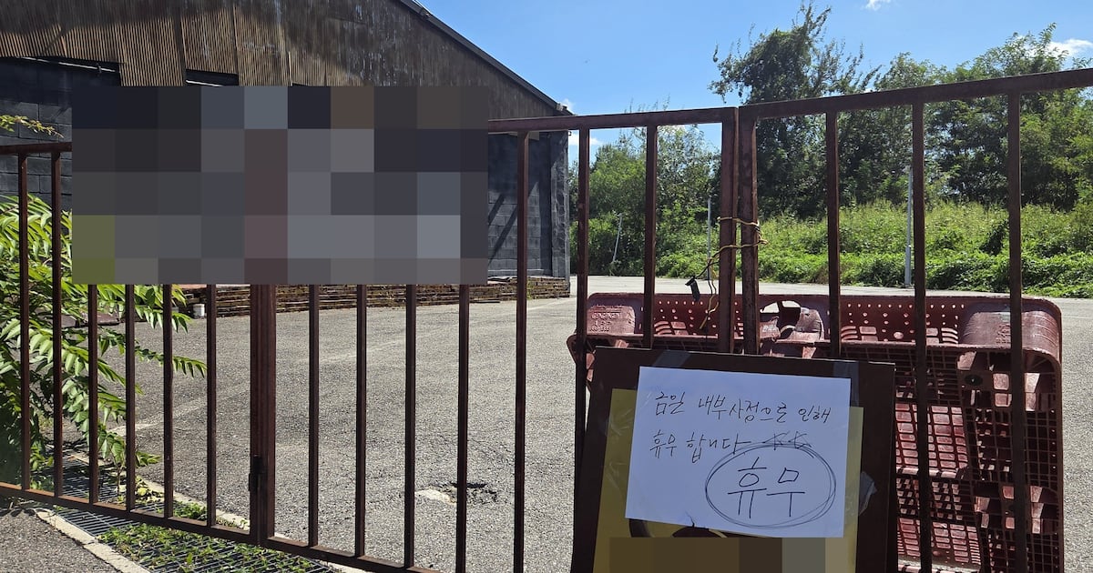 "냉동창고에 사람 갇히면 어떻게 돼?" 파주 카페 주인, AI에 물어봤다