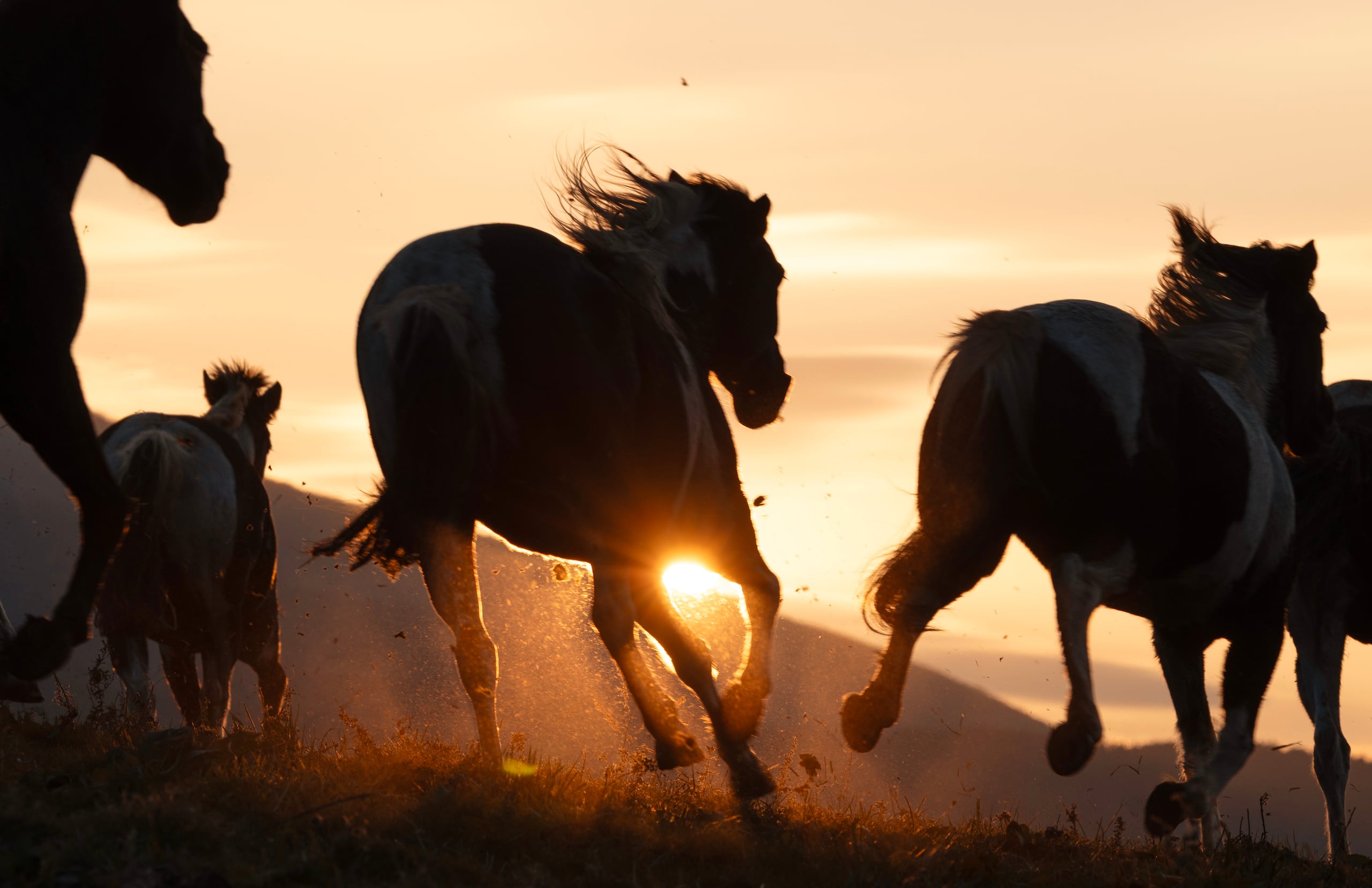 컴퓨터 아이콘 어머니 아들 부모, 어머니 아이콘, 어린이, 다른 사람 png | PNGEgg, image size:2560x1656