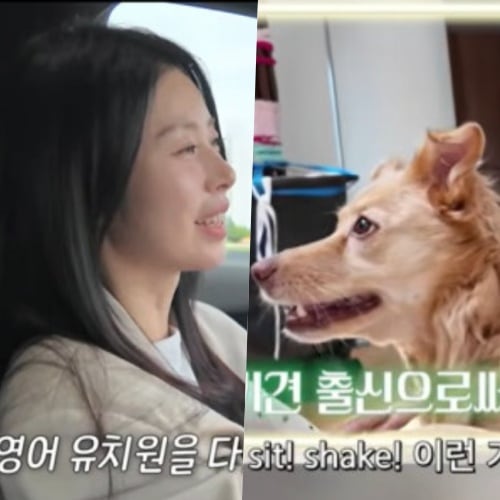 반려견 영어 유치원 실화..서동주 "한국 살더니 영어 다 잊어버려" 폭소