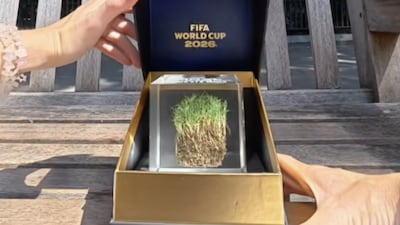 '말라서 경기 어렵다'던 그 잔디, FIFA, 결승전 뒤 잘라 판다...최대 451만 원