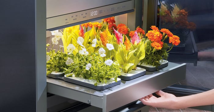 알아서 쑥쑥 키워드릴게… 스마트 텃밭 시대 - 뉴스 썸네일 이미지