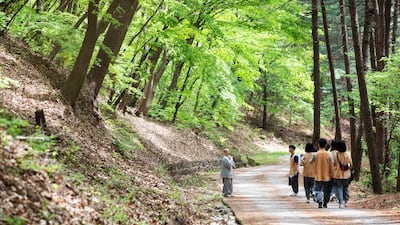 노고산 속 ‘흥국사’ 갈까, 광릉숲 옆 ‘봉선사’ 갈까?