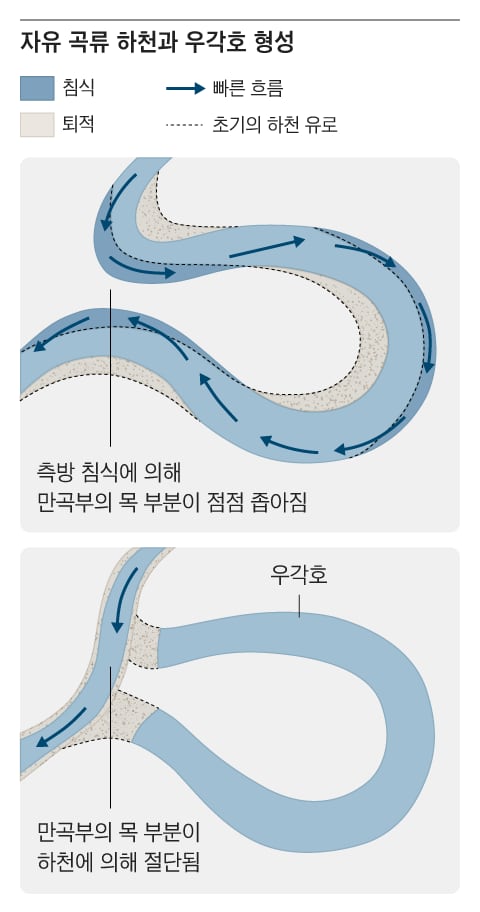 정상적인 하중 분배 구조를 유지하는 반강성고정술, 재수술 부담 줄인다