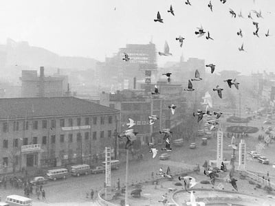 1970년대에 전국 행사로 ‘출장’ 다녔던 서울시청 비둘기들