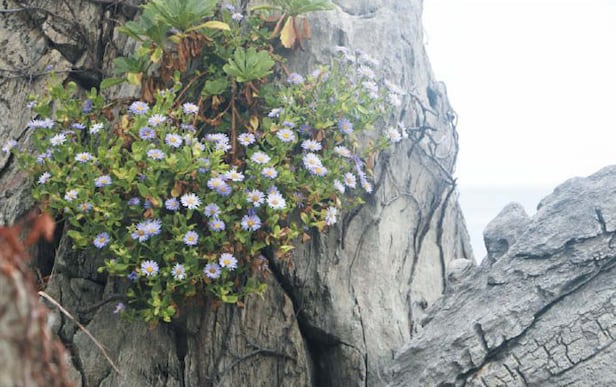 ٴ尡 ƴ ر Ǿ ִ .  ɿ  鿡 ۺ   ־.
/ö 