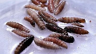 โ์ด ํ๋จน๋ ๊ตฌ๋๊ธฐโ ํ์ฐ... ็พ ํ
์ฌ์ค, ์ฌ์ ์ฌ๋์ ์ธ